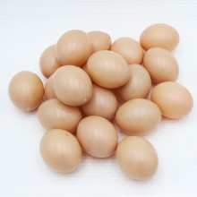 모형 달걀 계란